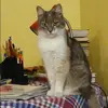 Отзыв от Лера Кудряшова